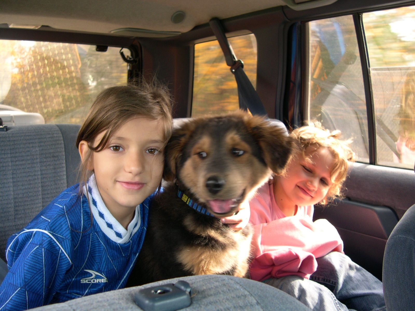 Melike Shadow & İlayda